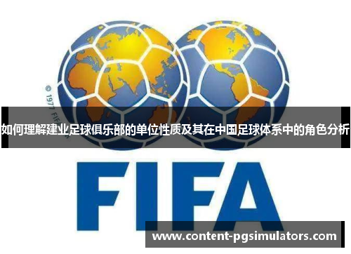 如何理解建业足球俱乐部的单位性质及其在中国足球体系中的角色分析