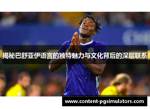 揭秘巴舒亚伊语言的独特魅力与文化背后的深层联系 揭秘巴舒亚伊语言的独特魅力与文化背后的深层联系