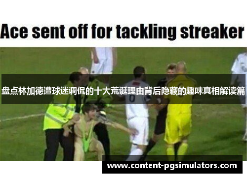 盘点林加德遭球迷调侃的十大荒诞理由背后隐藏的趣味真相解读篇