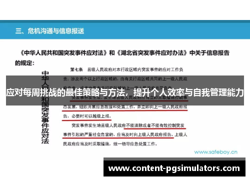 应对每周挑战的最佳策略与方法，提升个人效率与自我管理能力